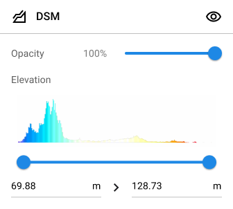 DSM.png