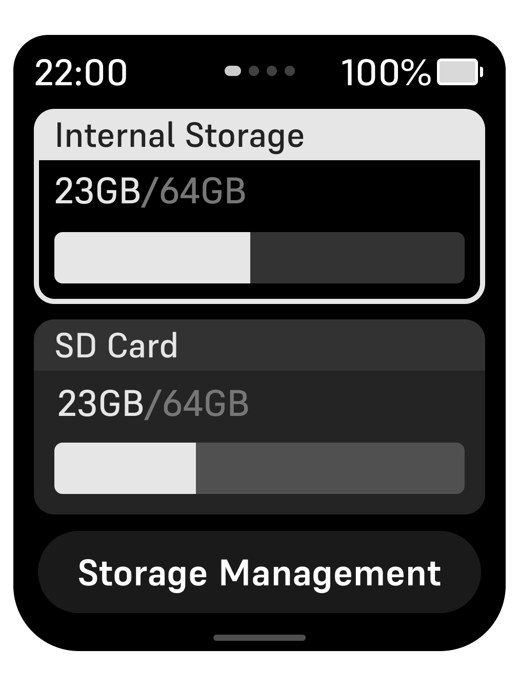 Insta360 X6 Storage Management screen